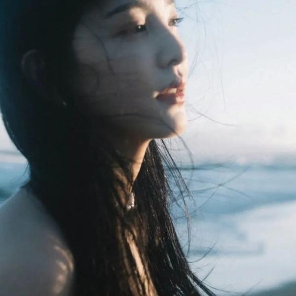 月陨回声