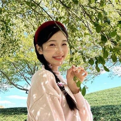 铁路的白蔷薇